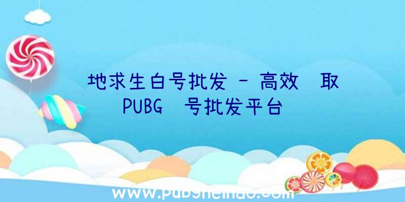 绝地求生白号批发